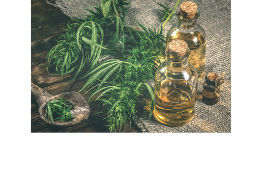 CBD oil and pregnancy: What you need to know