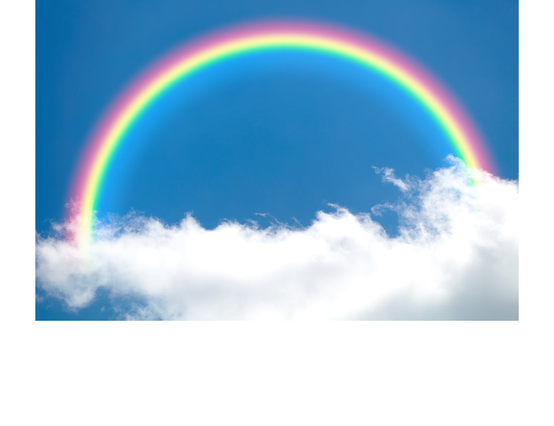 Rainbow Babies: All About