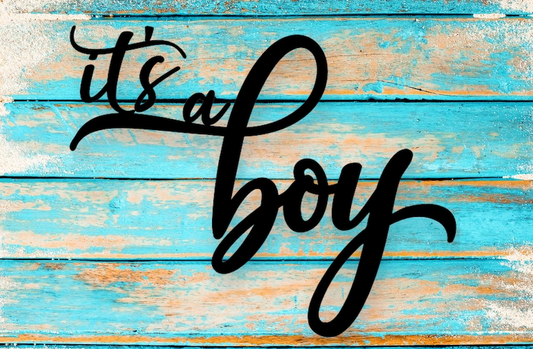 Baby Boy Onesie Ideas