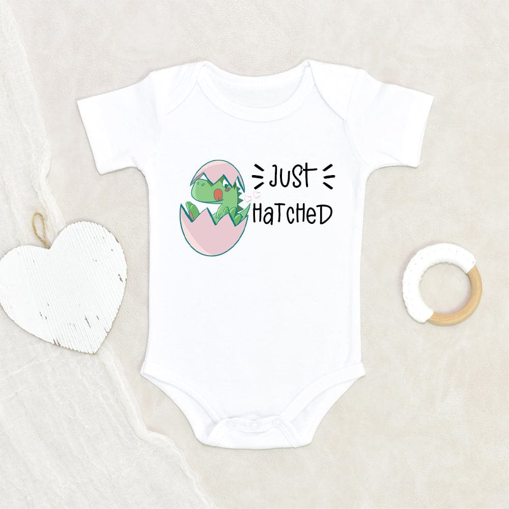 Cute dinosaur hot sale baby clothes